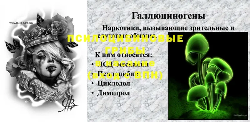 blacksprut tor  Таруса  Псилоцибиновые грибы Psilocybe  это состав  хочу  